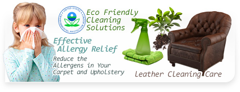 Jersey Village green cleaning solutions