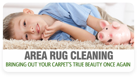 Adicks area rug cleaning