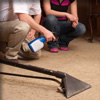 Willow carpet steam cleaning