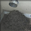 Copperfield Place dryer vent cleaning